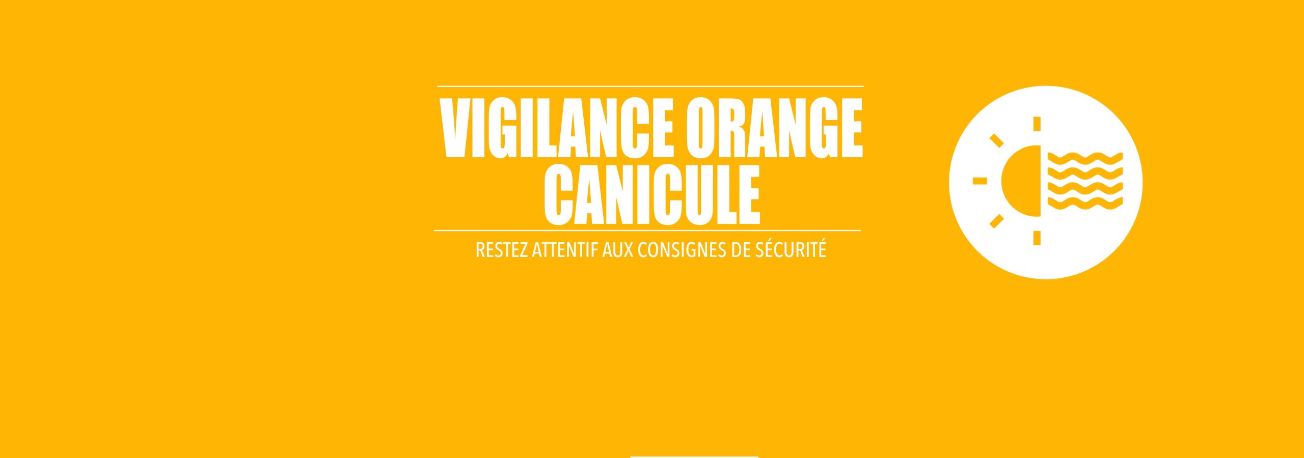 ORANGE CANICULE