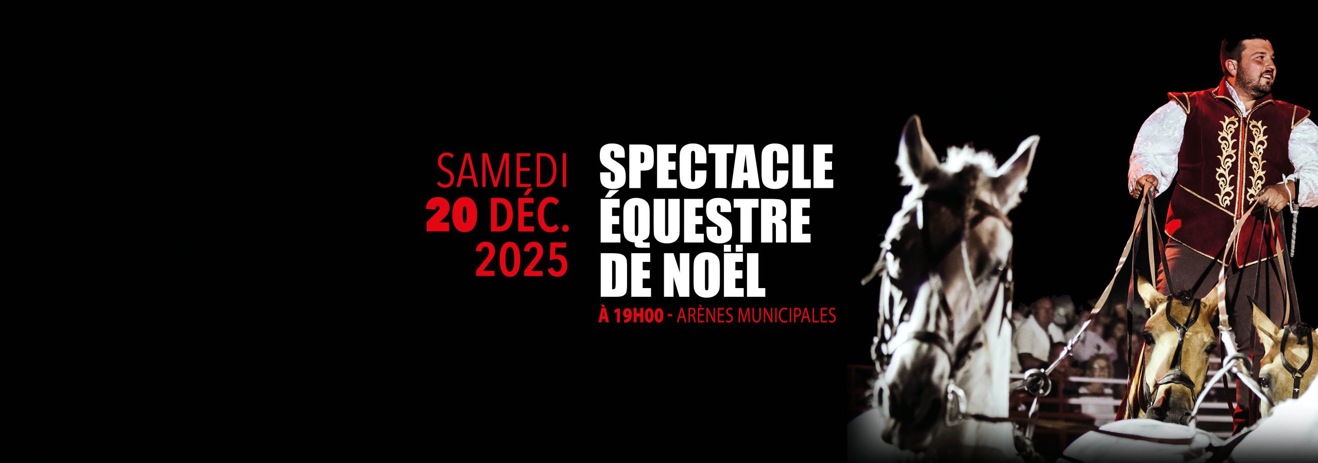 SPECTACLE DE NOËL