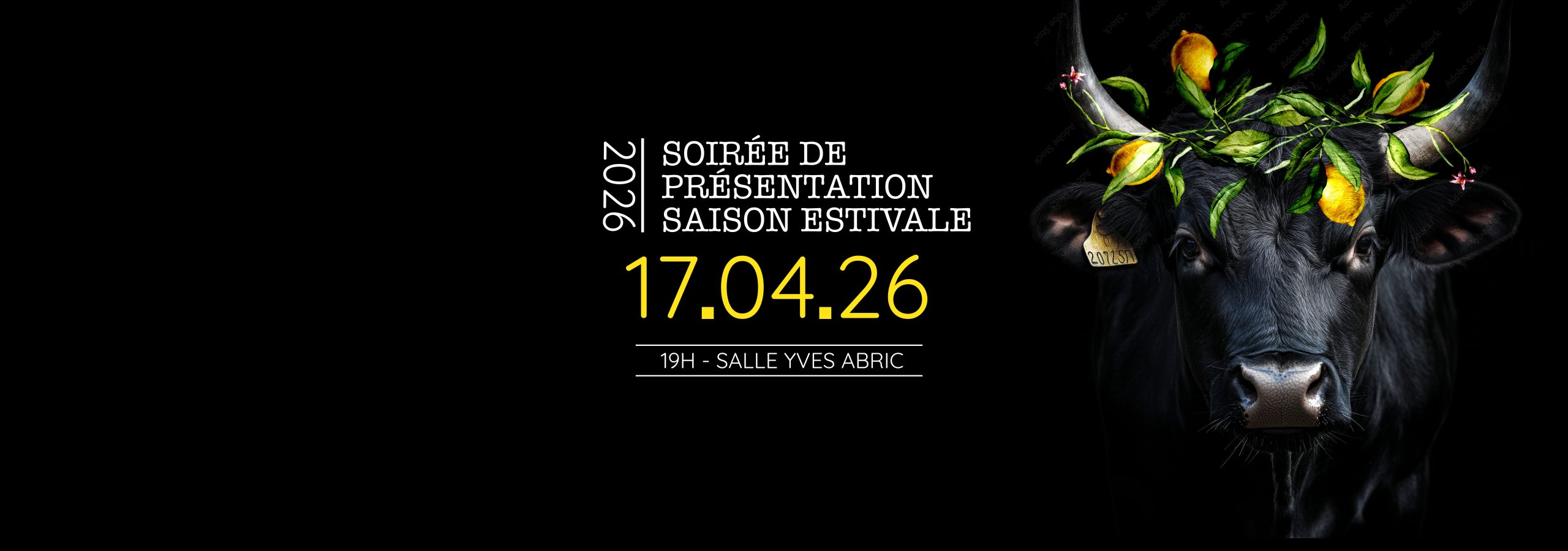 PRESENTATION ESTIVALE