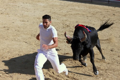 11 - Premiere course Ficelle d argent - c Mairie de Perols (1)