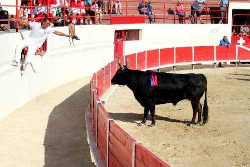 12 - Premiere course Ficelle d argent - c Mairie de Perols (1)