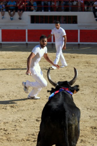 16 - Premiere course Ficelle d argent - c Mairie de Perols (1)