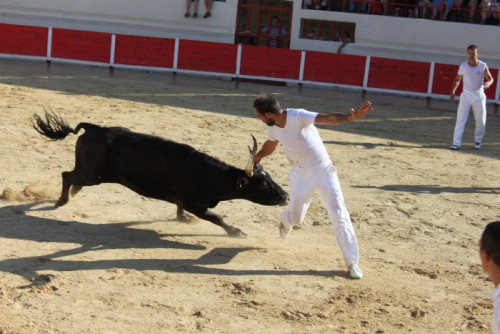 17 - Premiere course Ficelle d argent - c Mairie de Perols (1)