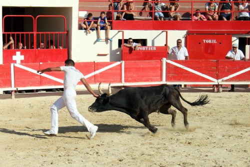 19 - Premiere course Ficelle d argent - c Mairie de Perols (1)